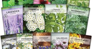 Where Can I Buy Medicinal Plant Seeds