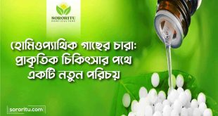 হোমিওপ্যাথিক গাছের চারা প্রাকৃতিক চিকিৎসার পথে একটি নতুন পরিচয়