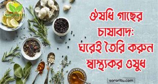 ঔষধি গাছের চাষাবাদ ঘরেই তৈরি করুন স্বাস্থ্যকর ওষুধ