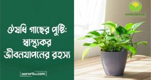 ঔষধি গাছের পুষ্টি স্বাস্থ্যকর জীবনযাপনের রহস্য