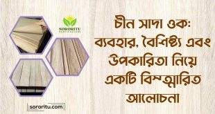 চীন সাদা ওক ব্যবহার, বৈশিষ্ট্য এবং উপকারিতা নিয়ে একটি বিস্তারিত আলোচনা