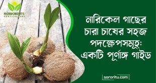 নারিকেল গাছের চারা চাষের সহজ পদক্ষেপসমূহ একটি পূর্ণাঙ্গ গাইড