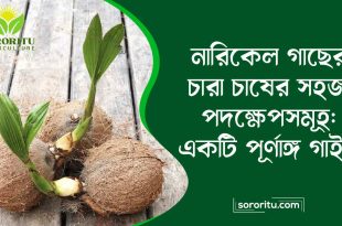 নারিকেল গাছের চারা চাষের সহজ পদক্ষেপসমূহ একটি পূর্ণাঙ্গ গাইড