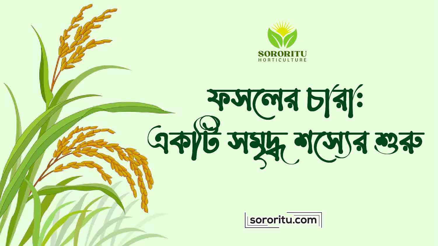 ফসলের চারা একটি সমৃদ্ধ শস্যের শুরু