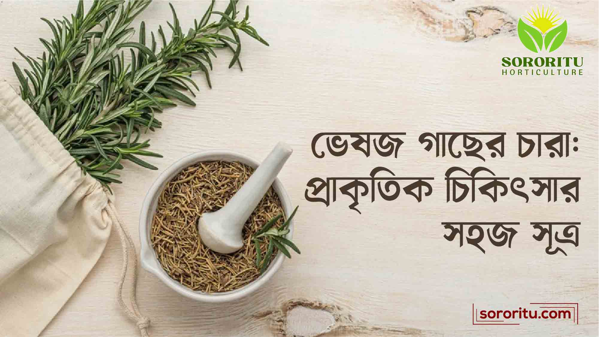 ভেষজ গাছের চারা প্রাকৃতিক চিকিৎসার সহজ সূত্র