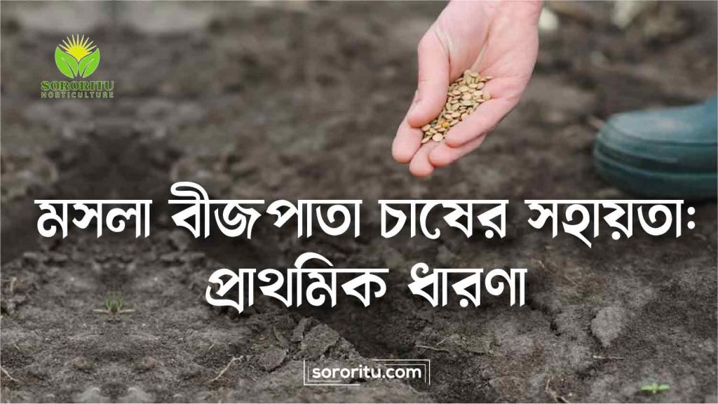 মসলা বীজপাতা চাষের সহায়তা প্রাথমিক ধারণা