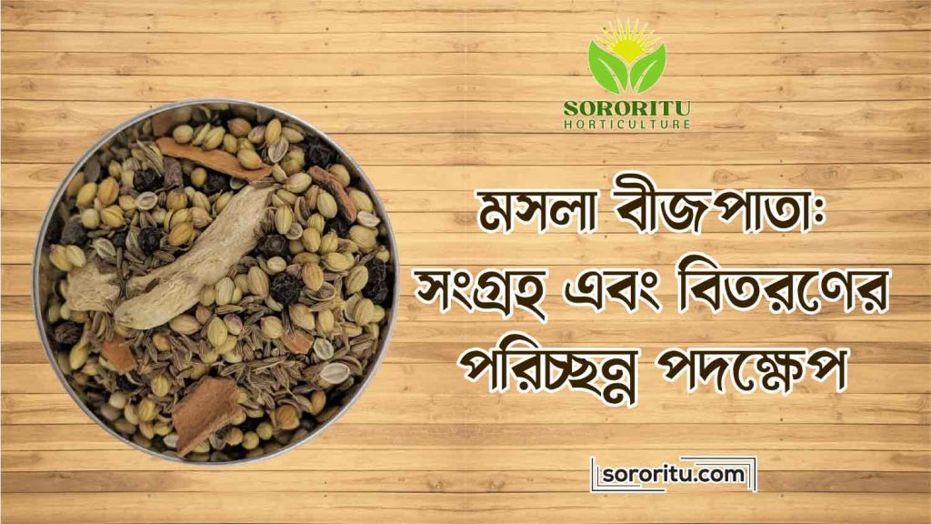 মসলা বীজপাতা সংগ্রহ এবং বিতরণের পরিচ্ছন্ন পদক্ষেপ