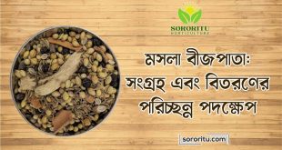 মসলা বীজপাতা সংগ্রহ এবং বিতরণের পরিচ্ছন্ন পদক্ষেপ