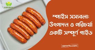 স্পাইস সস্যবলা উৎপাদন ও পরিচর্যা - একটি সম্পূর্ণ গাইড