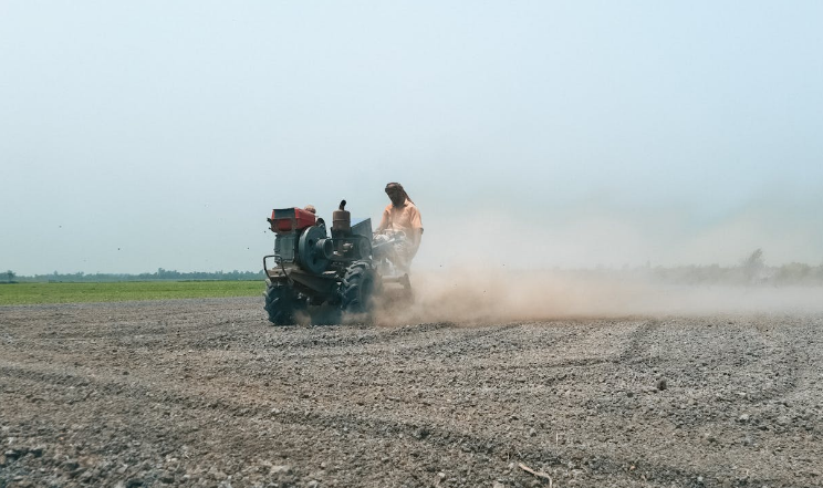 মসলা বীজপাতার উৎপাদন প্রক্রিয়া