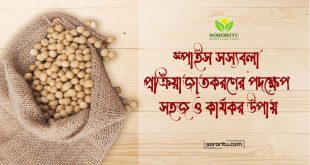 স্পাইস সস্যবলা প্রক্রিয়াজাতকরণের পদক্ষেপ: সহজ ও কার্যকর উপায়