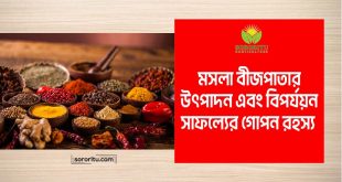 মসলা বীজপাতার উৎপাদন এবং বিপর্যয়ন: সাফল্যের গোপন রহস্য