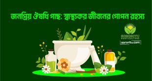জনপ্রিয় ঔষধি গাছ স্বাস্থ্যকর জীবনের গোপন রহস্য