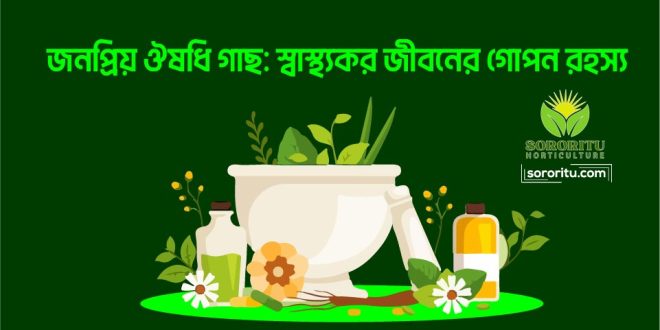 জনপ্রিয় ঔষধি গাছ স্বাস্থ্যকর জীবনের গোপন রহস্য