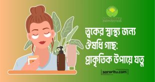 ত্বকের স্বাস্থ্য জন্য ঔষধি গাছ প্রাকৃতিক উপায়ে যত্ন