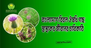 বাংলাদেশে বিরল ঔষধি গাছ স্বাস্থ্যকর জীবনের চাবিকাঠি