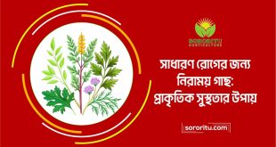 সাধারণ রোগের জন্য নিরাময় গাছ প্রাকৃতিক সুস্থতার উপায়
