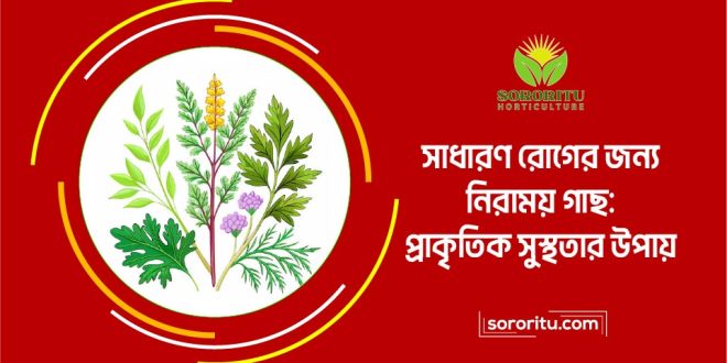 সাধারণ রোগের জন্য নিরাময় গাছ প্রাকৃতিক সুস্থতার উপায়