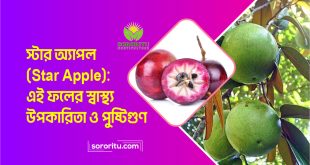 স্টার অ্যাপল এই ফলের স্বাস্থ্য উপকারিতা ও পুষ্টিগুণ