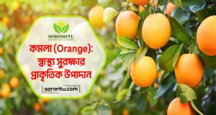 কমলা (Orange) স্বাস্থ্য সুরক্ষার প্রাকৃতিক উপাদান