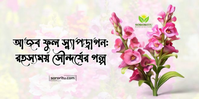 আজব ফুল স্ন্যাপড্রাগন: রহস্যময় সৌন্দর্যের গল্প