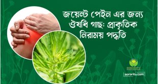 জয়েন্ট পেইন এর জন্য ঔষধি গাছ প্রাকৃতিক নিরাময় পদ্ধতি