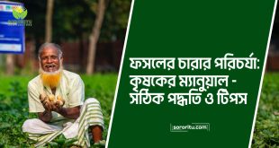 ফসলের চারার পরিচর্যা: কৃষকের ম্যানুয়াল - সঠিক পদ্ধতি ও টিপস