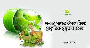 ভেষজ গাছের উপকারিতা: প্রাকৃতিক সুস্থতার রহস্য