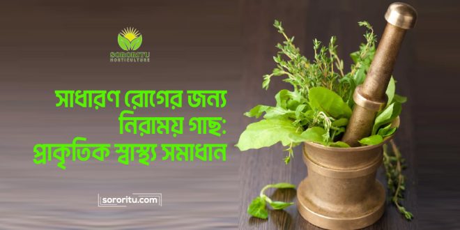 সাধারণ রোগের জন্য নিরাময় গাছ প্রাকৃতিক স্বাস্থ্য সমাধান