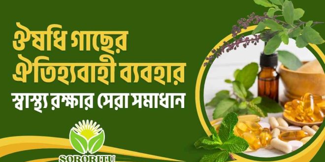ঔষধি গাছের ঐতিহ্যবাহী ব্যবহার: স্বাস্থ্য রক্ষার সেরা সমাধান