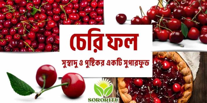 চেরি ফল: সুস্বাদু ও পুষ্টিকর একটি সুপারফুড