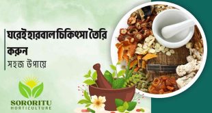 ঘরেই হারবাল চিকিৎসা তৈরি করুন সহজ উপায়ে