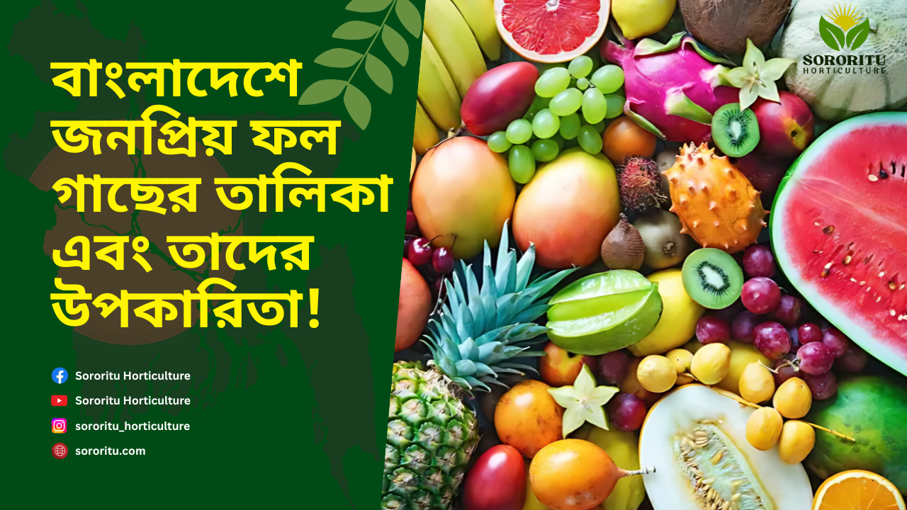 বাংলাদেশে জনপ্রিয় ফল গাছের তালিকা এবং তাদের উপকারিতা