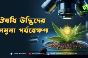 ঔষধি উদ্ভিদের নমুনা পর্যবেক্ষণ