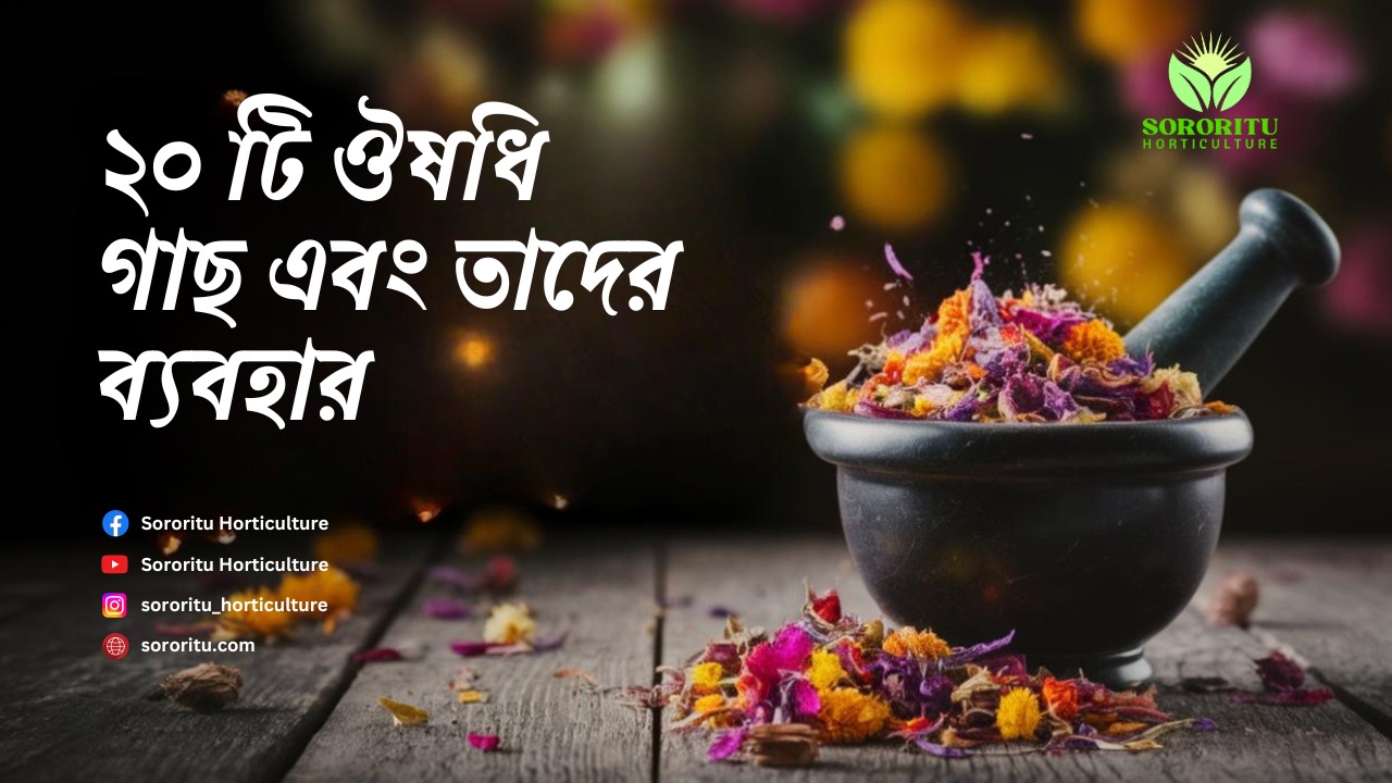 20 টি ঔষধি গাছ এবং তাদের ব্যবহার