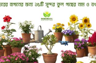 হোম গার্ডেনের জন্য ফুলের গাছ