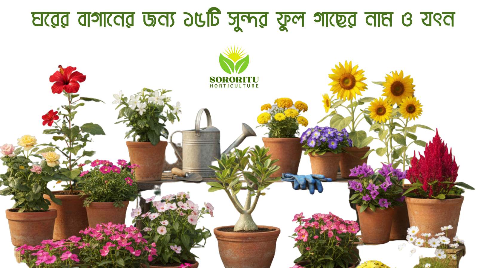 হোম গার্ডেনের জন্য ফুলের গাছ