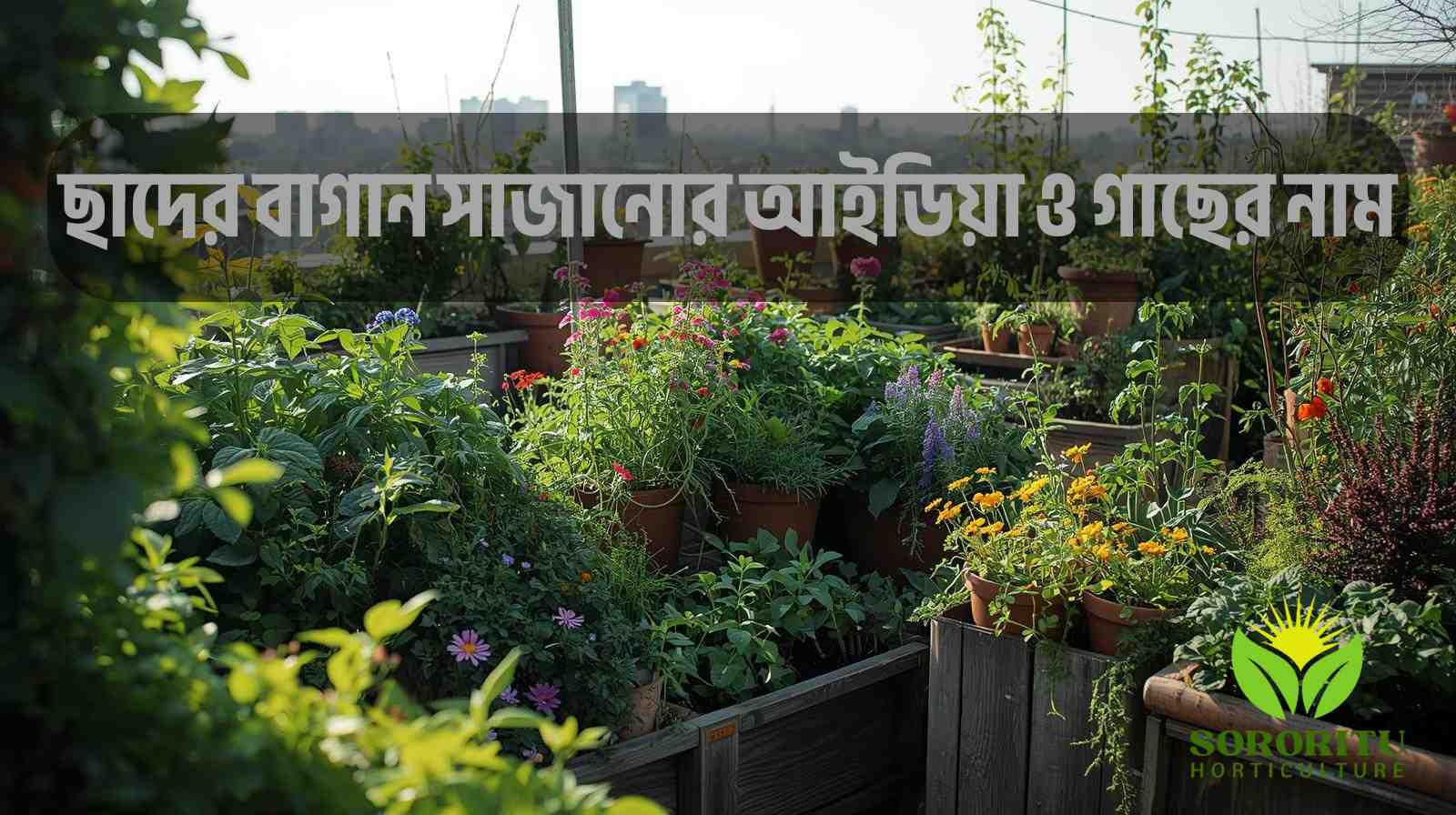 ছাদের বাগান সাজানোর আইডিয়া ও গাছের নাম