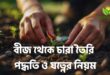 বীজ থেকে চারা তৈরি পদ্ধতি ও যত্নের নিয়ম | সহজ ও কার্যকর গাইড