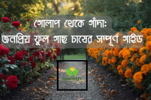 গোলাপ থেকে গাঁদা: জনপ্রিয় ফুল গাছ চাষের সম্পূর্ণ গাইড