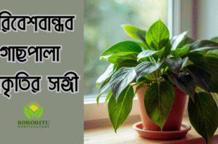 পরিবেশবান্ধব গাছপালা – প্রকৃতির সঙ্গী