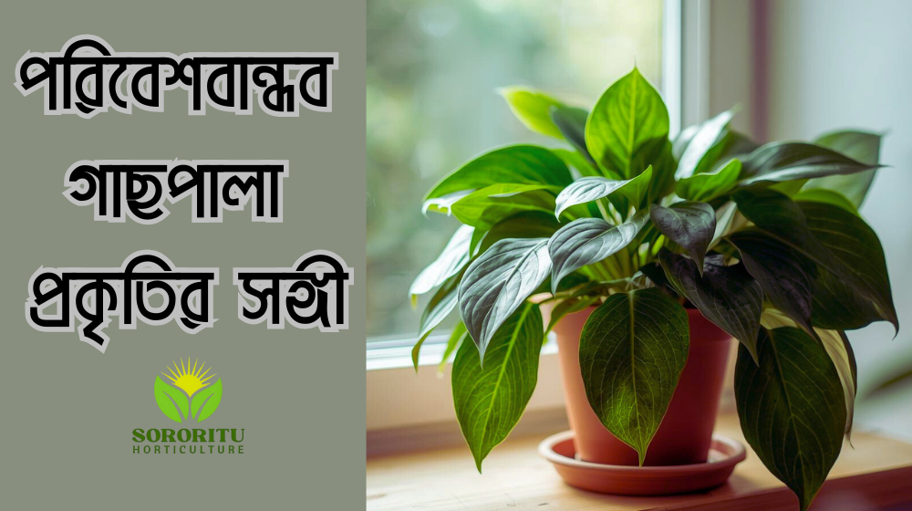 পরিবেশবান্ধব গাছপালা – প্রকৃতির সঙ্গী