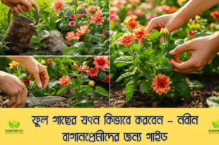 ফুল গাছের যত্ন কিভাবে করবেন – নবীন বাগানপ্রেমীদের জন্য গাইড
