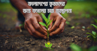 বাংলাদেশের কৃষকদের জন্য ফসলের চারা ব্যবস্থাপনা