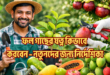 ফল গাছের যত্ন কিভাবে করবেন – নতুনদের জন্য নির্দেশিকা