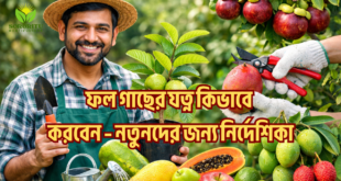 ফল গাছের যত্ন কিভাবে করবেন – নতুনদের জন্য নির্দেশিকা