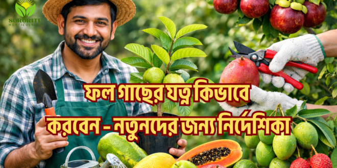 ফল গাছের যত্ন কিভাবে করবেন – নতুনদের জন্য নির্দেশিকা