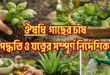 ঔষধি গাছের চাষ পদ্ধতি ও যত্নের সম্পূর্ণ নির্দেশিকা