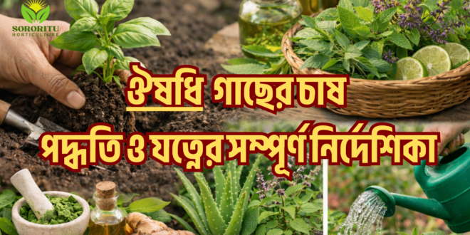 ঔষধি গাছের চাষ পদ্ধতি ও যত্নের সম্পূর্ণ নির্দেশিকা