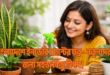 বাংলাদেশে ইনডোর প্ল্যান্টের যত্ন: নতুনদের জন্য পূর্ণাঙ্গ গাইড